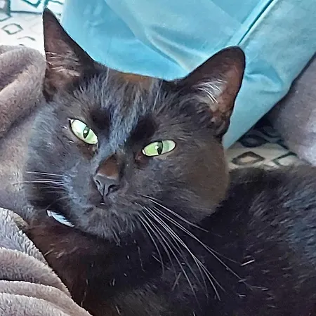 Dimorafelice.sarteano Appartamento Sarteano