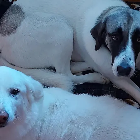 Dimorafelice.sarteano Appartamento Sarteano